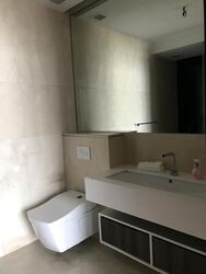 The Scotts Tower (D9), Condominium #396822821